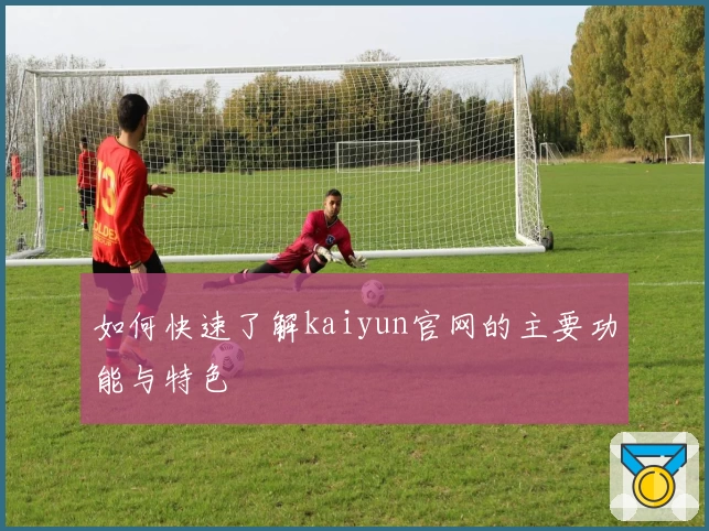 如何快速了解kaiyun官网的主要功能与特色