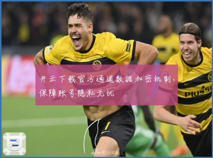 开云下载官方通道数据加密机制，保障账号隐私无忧