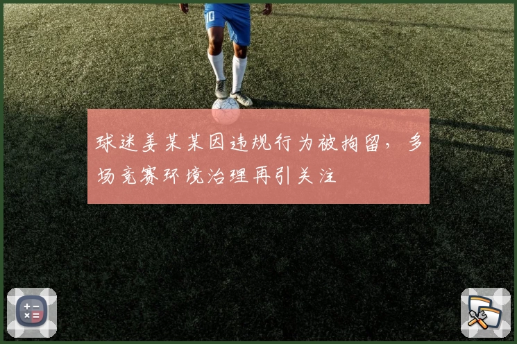 球迷姜某某因违规行为被拘留，多场竞赛环境治理再引关注
