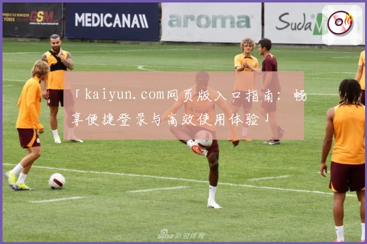 「kaiyun.com网页版入口指南：畅享便捷登录与高效使用体验」