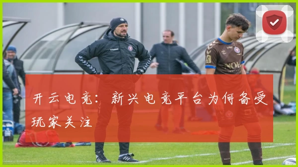 开云电竞:新兴电竞平台为何备受玩家关注