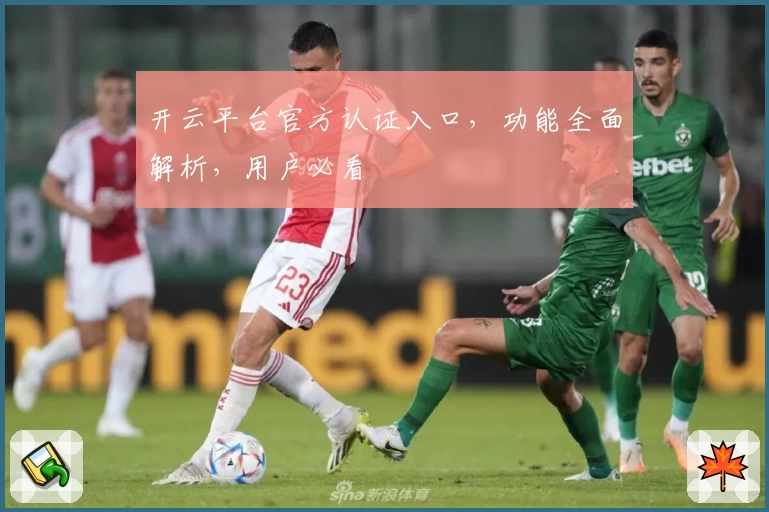 开云平台官方认证入口，功能全面解析，用户必看