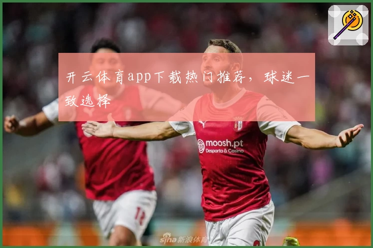 开云体育app下载热门推荐，球迷一致选择
