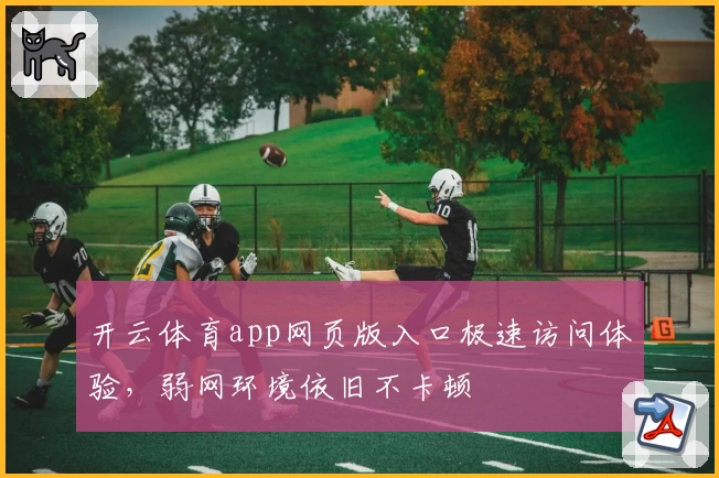 开云体育app网页版入口极速访问体验，弱网环境依旧不卡顿